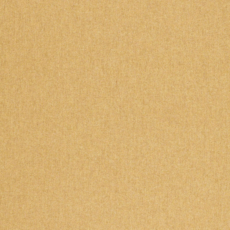 CHESTER WOOL WHEAT