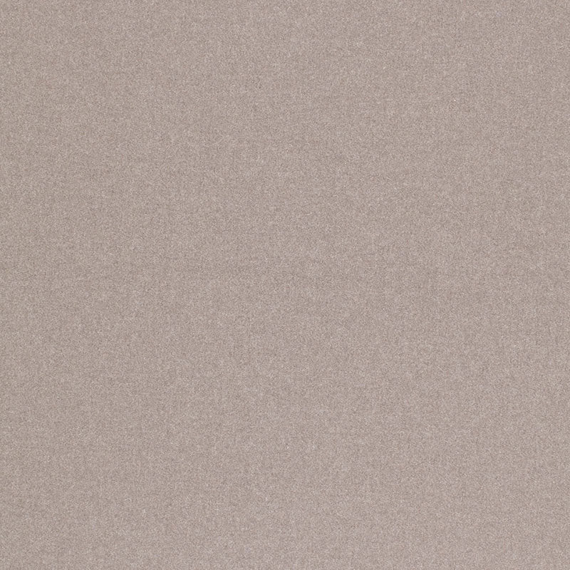 CHESTER WOOL DOVE