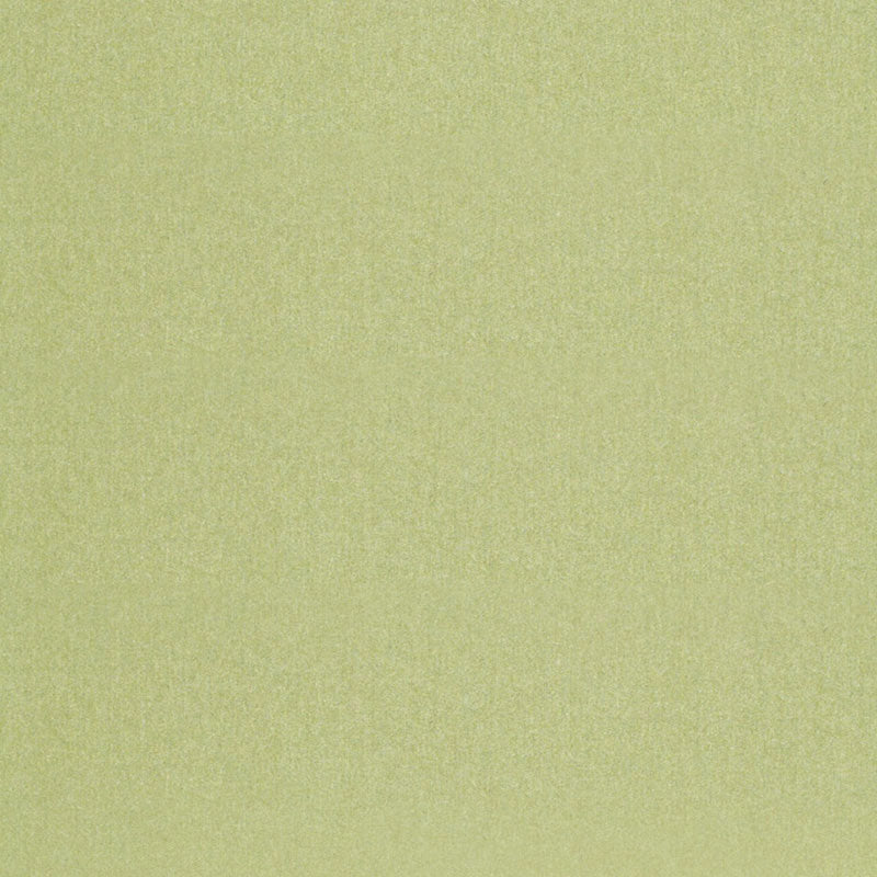 CHESTER WOOL ALOE