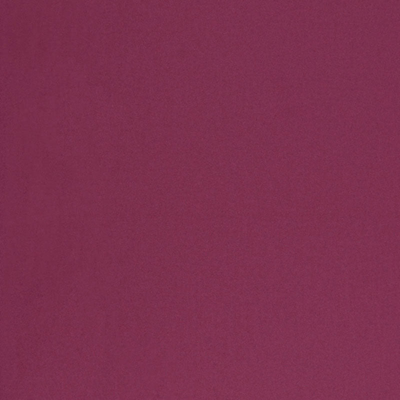 CHESTER WOOL GRAPE