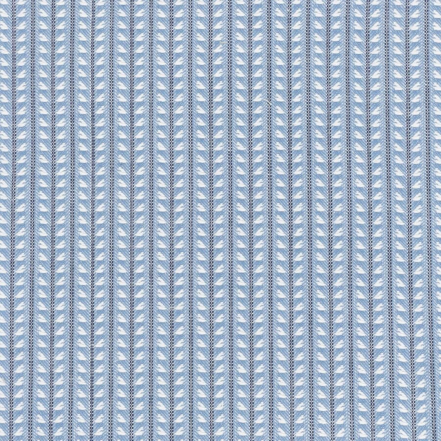 FIONA 1 SKY
