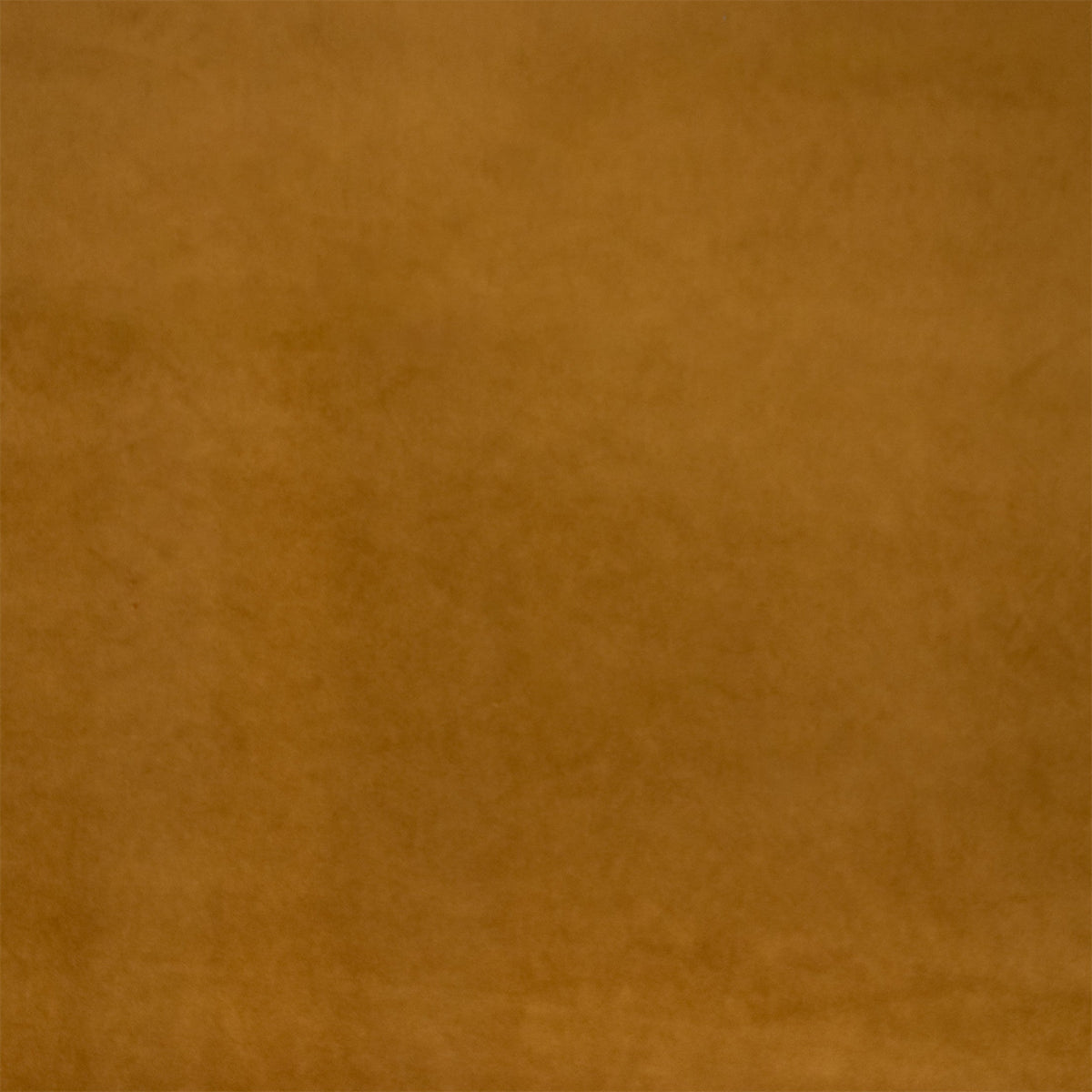 Anna Elisabeth S7127 Amber  | Atlanta Fabrics