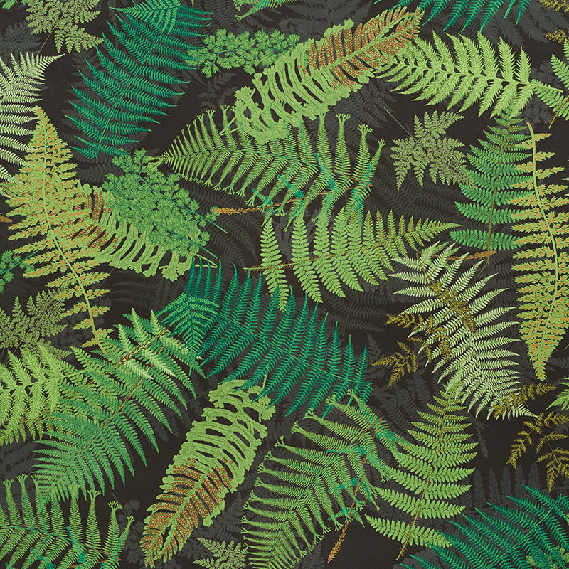 FERNARIUM GREEN & BLACK