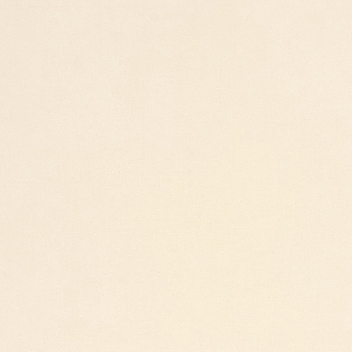King Cotton FR-Ivory