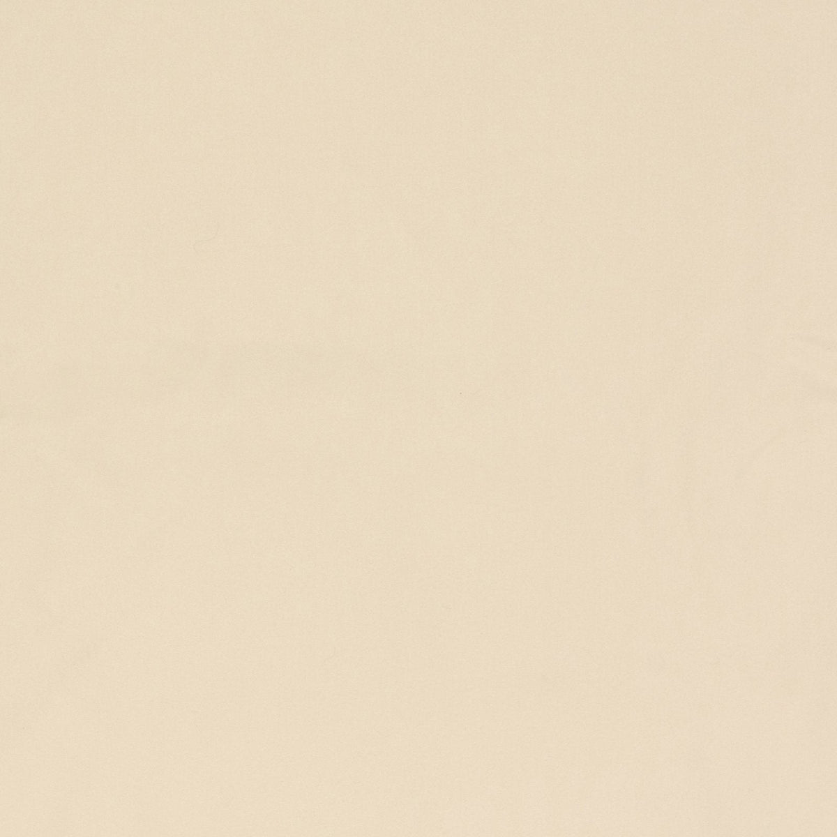 Flameout BO-Ivory/White