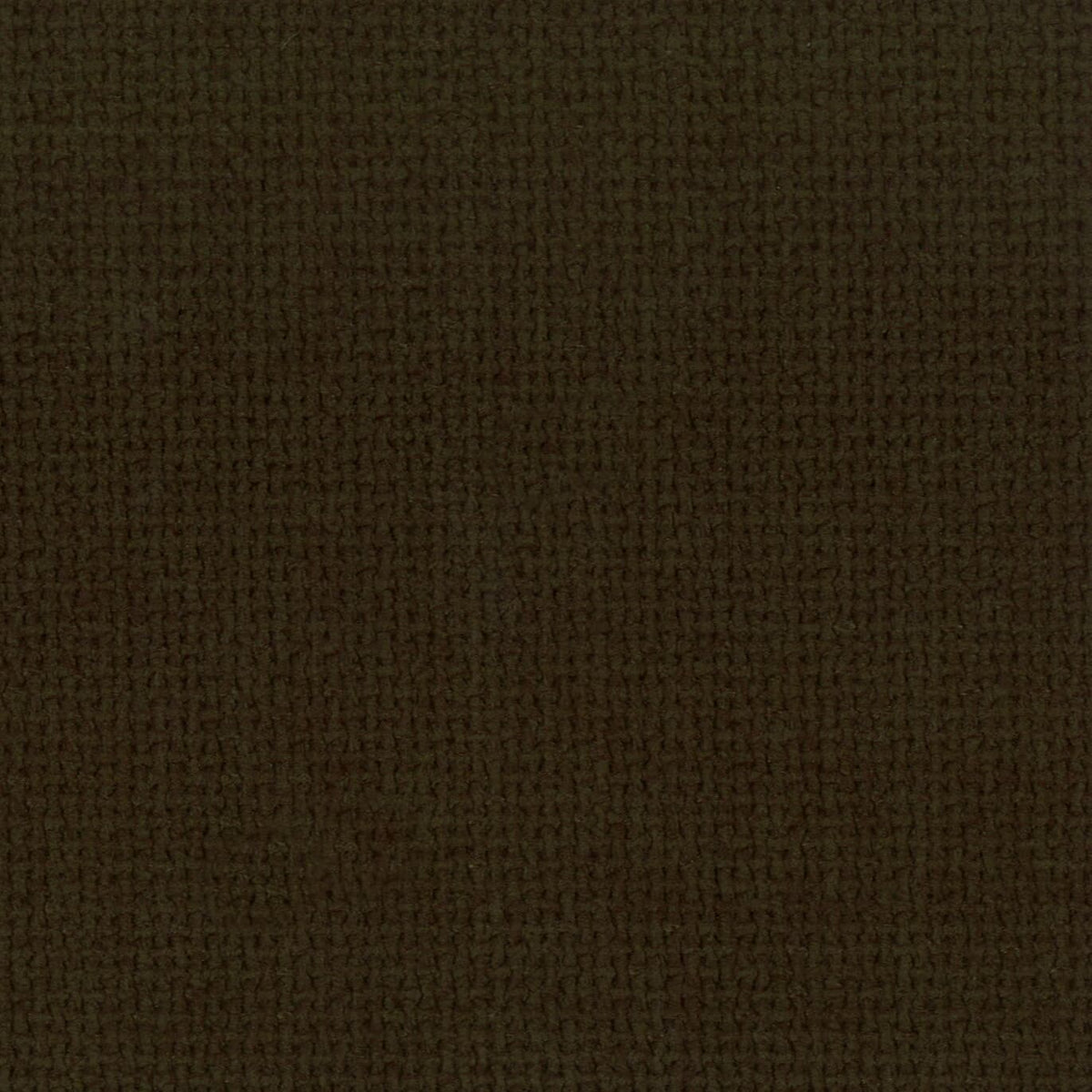 GRAYSON 14 EVERGREEN