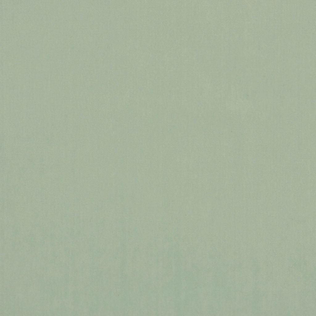 Deluxe Cotton Velvet Robin