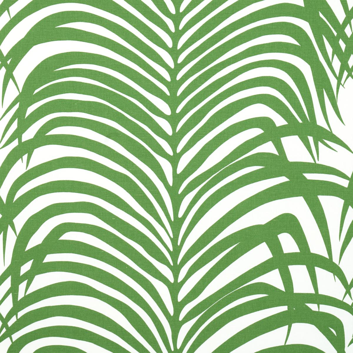 ZEBRA PALM JUNGLE