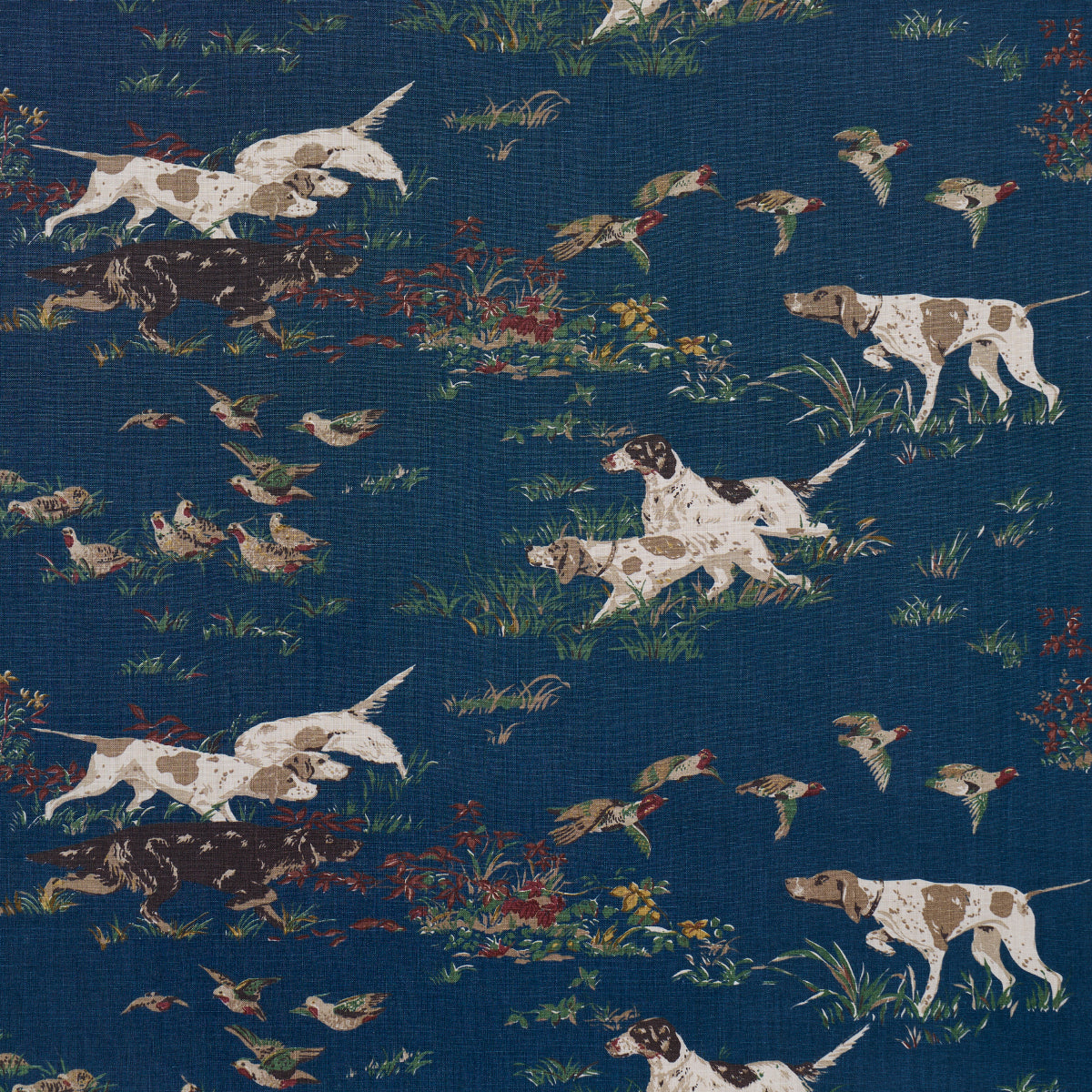 POINTERS INDIGO