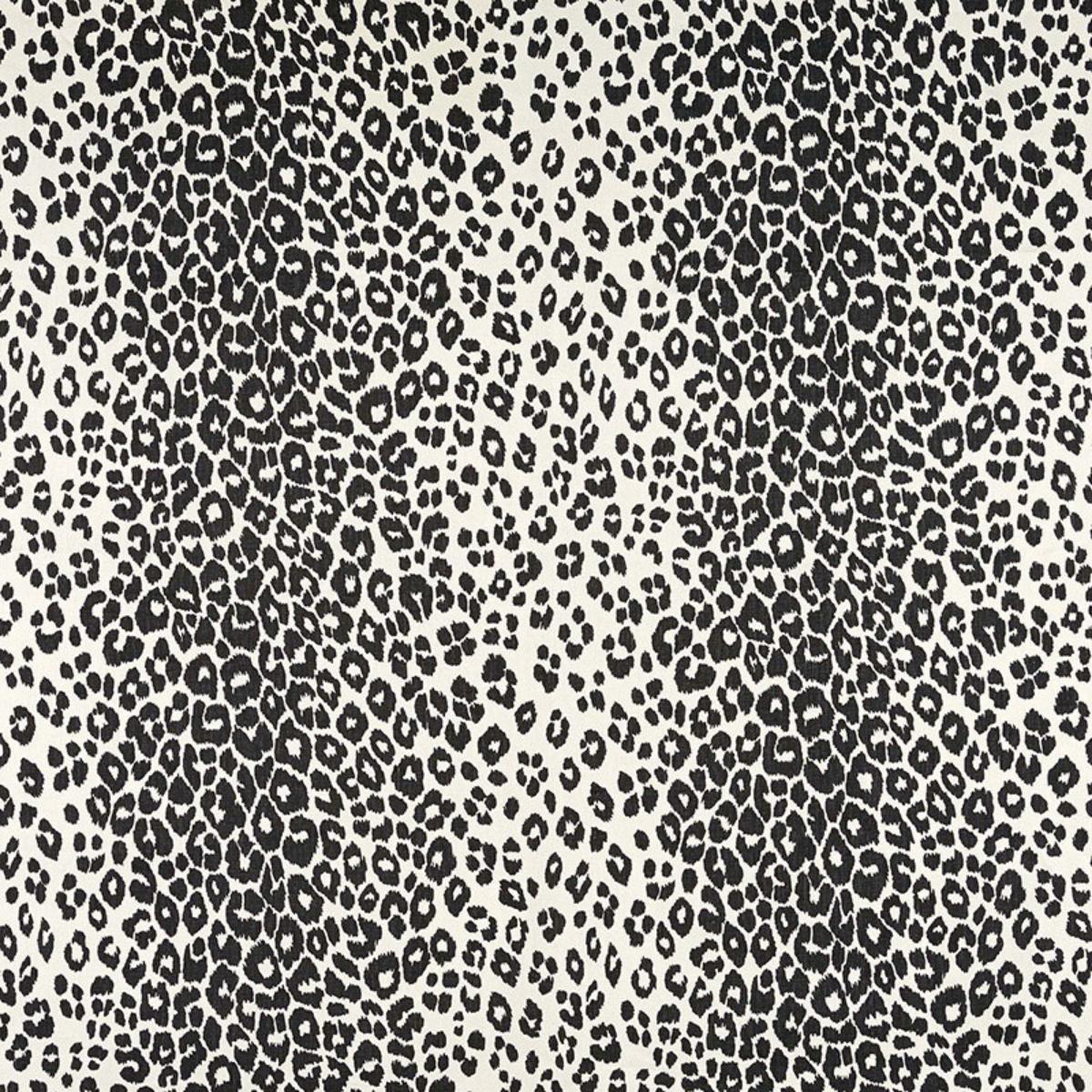 ICONIC LEOPARD GRAPHITE