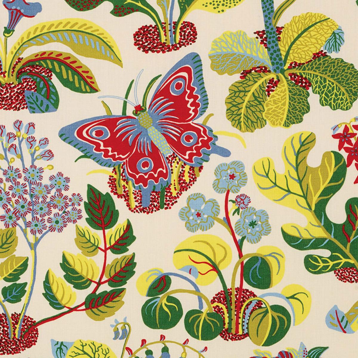 EXOTIC BUTTERFLY MULTI