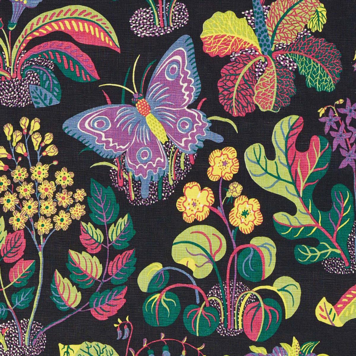 EXOTIC BUTTERFLY BLACK