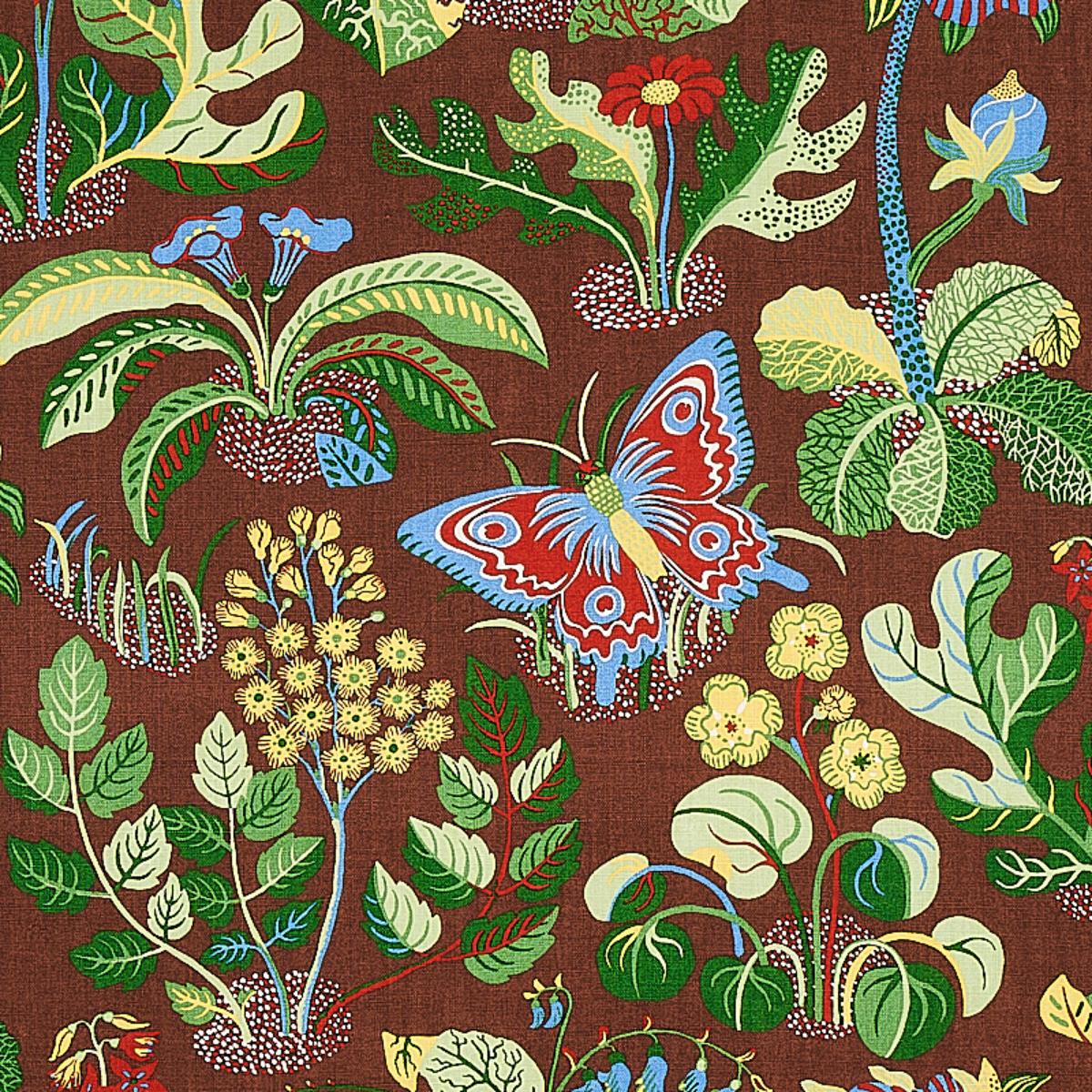 EXOTIC BUTTERFLY BROWN