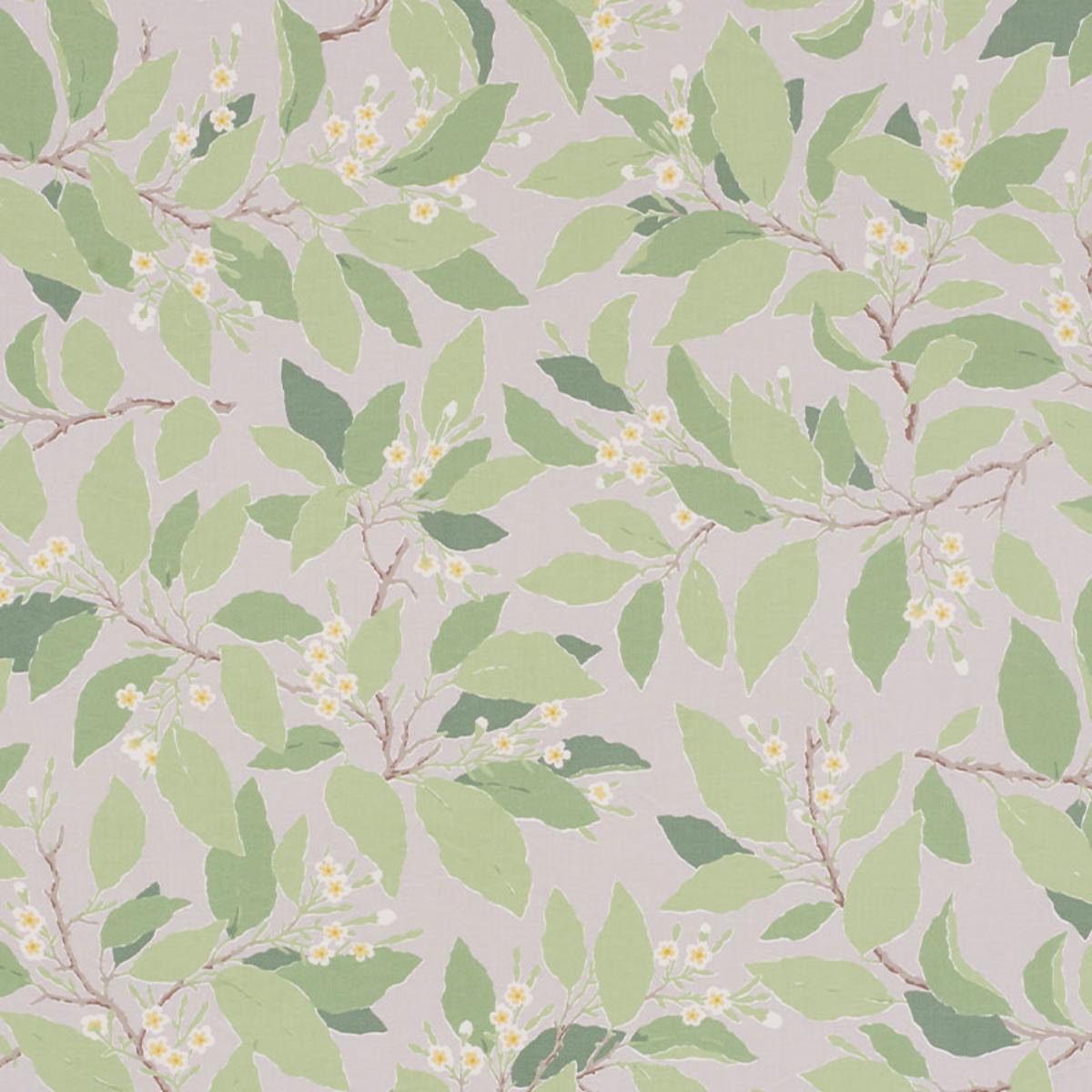 DOGWOOD LEAF GRISAILLE