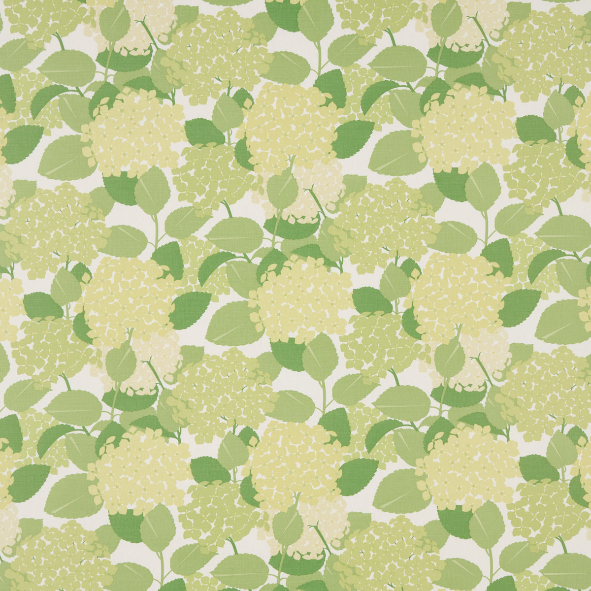 HYDRANGEA GREEN FABRIC