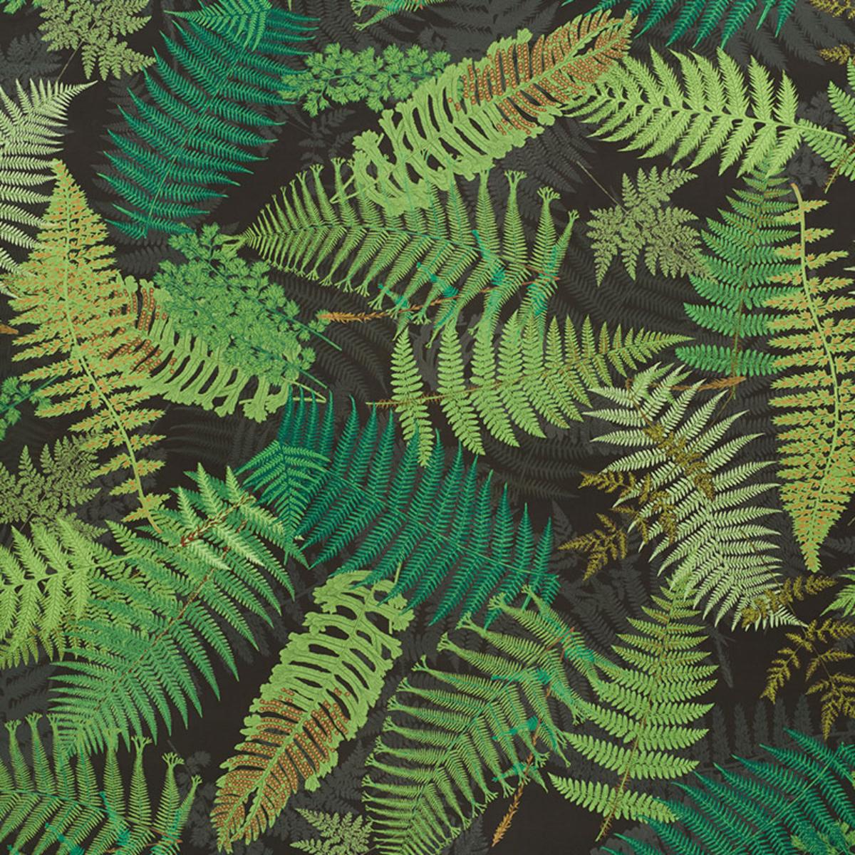 FERNARIUM GREEN & BLACK