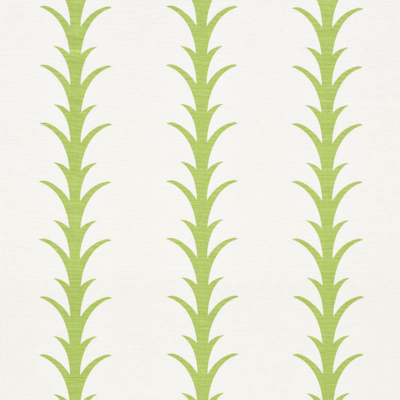 ACANTHUS STRIPE LEAF