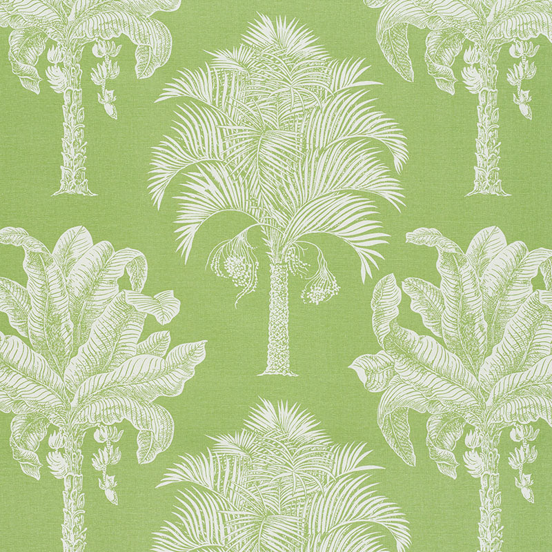 GRAND PALMS LEAF