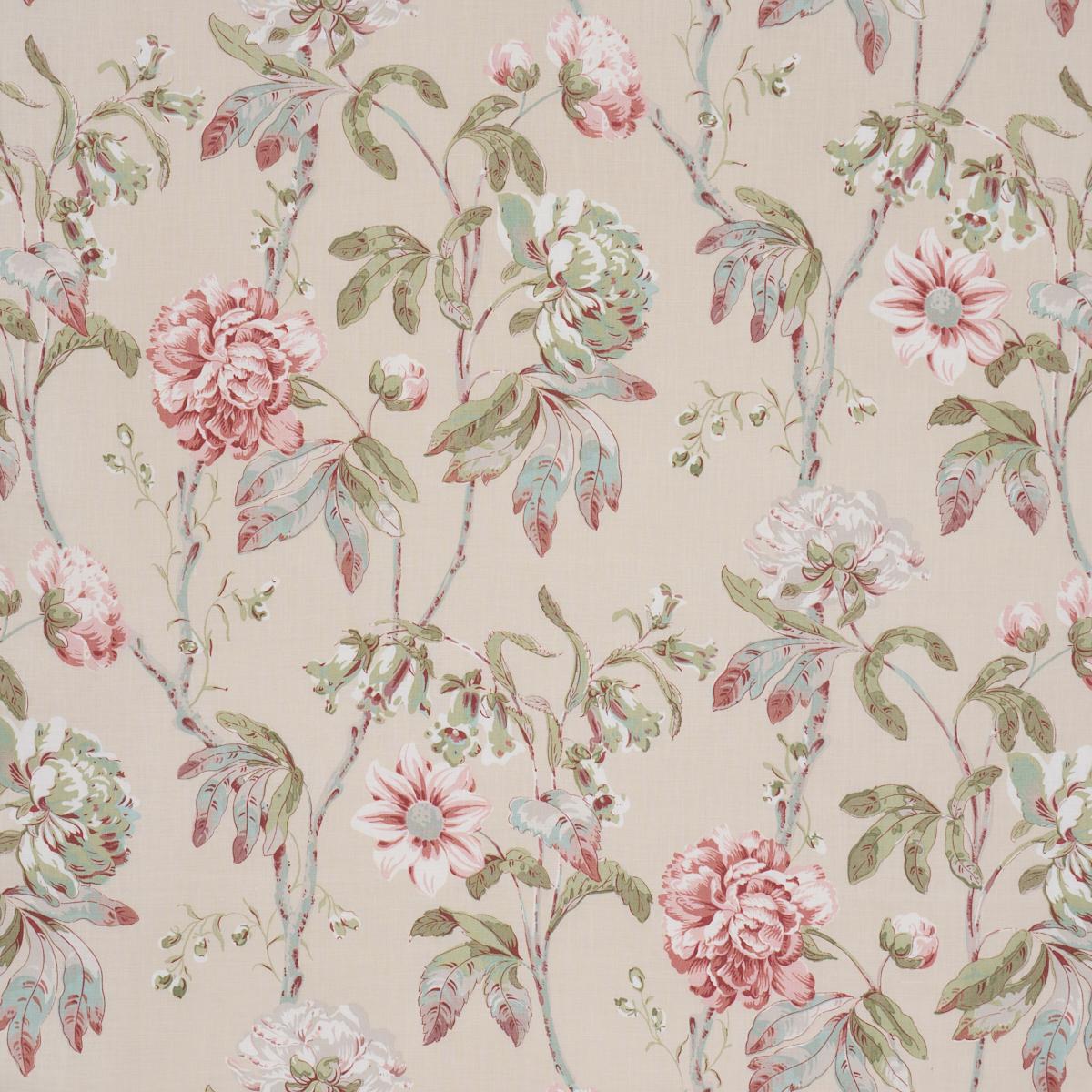Daydream Soft Ivory