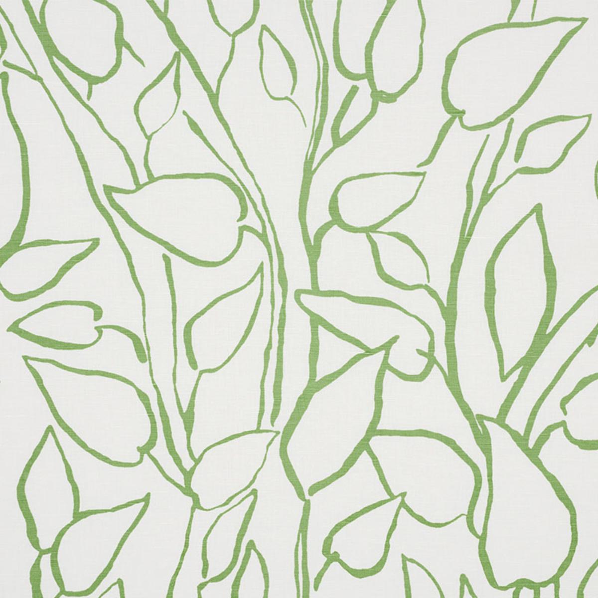 SOLANDRA VINE LEAF