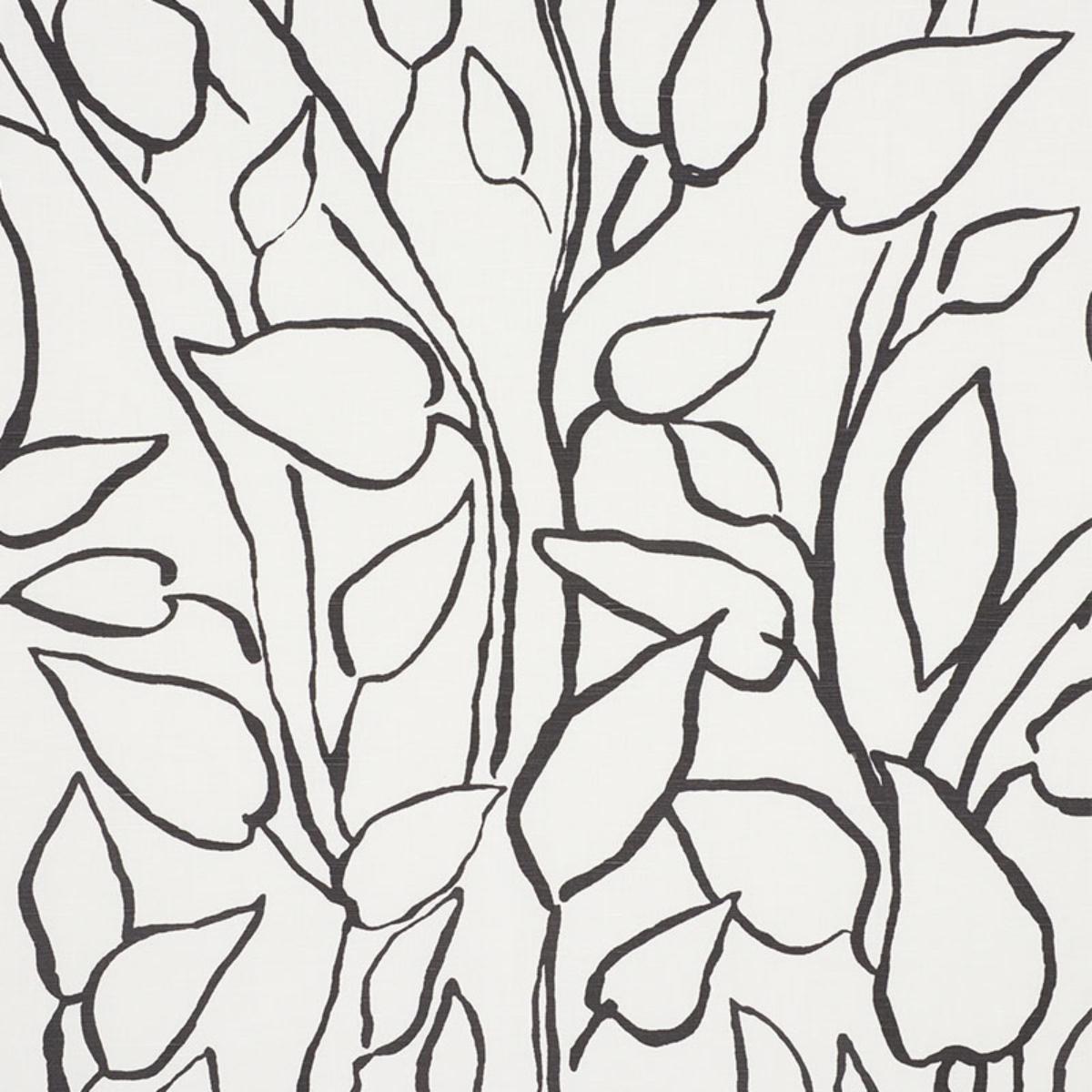 SOLANDRA VINE BLACK