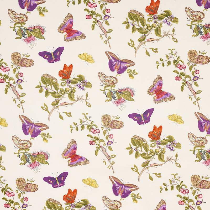 BAUDIN BUTTERFLY CHINTZ PURPLE