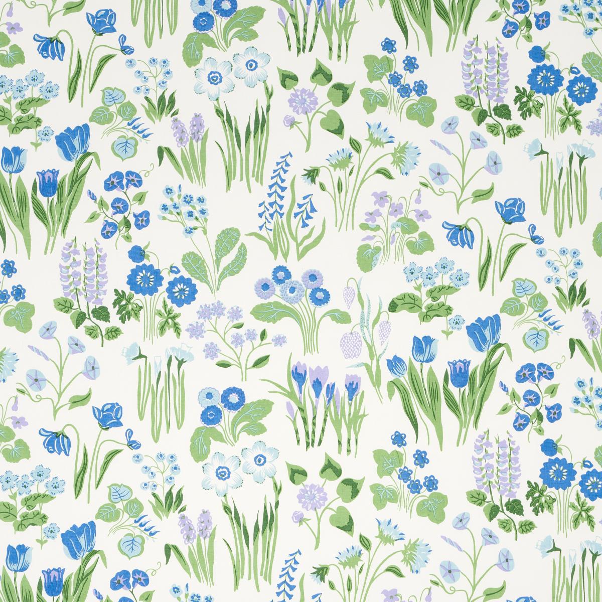 CARLY BLUE BELL