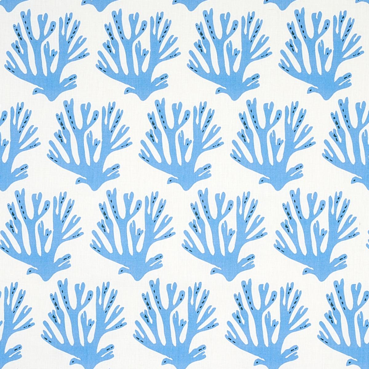CORAL BLUE