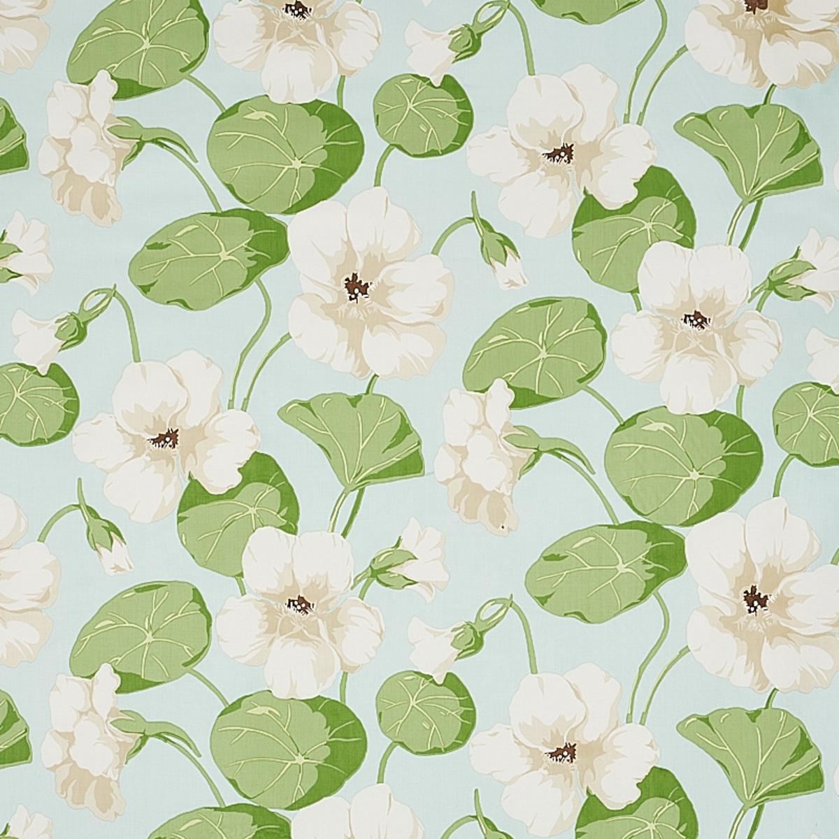 Nasturtium Sky
