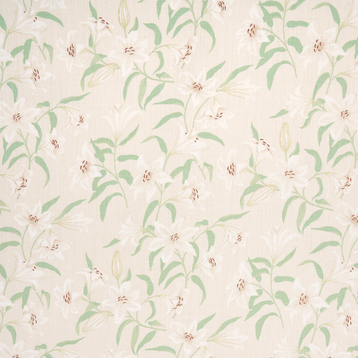 SCATTERED LILIES CREAM