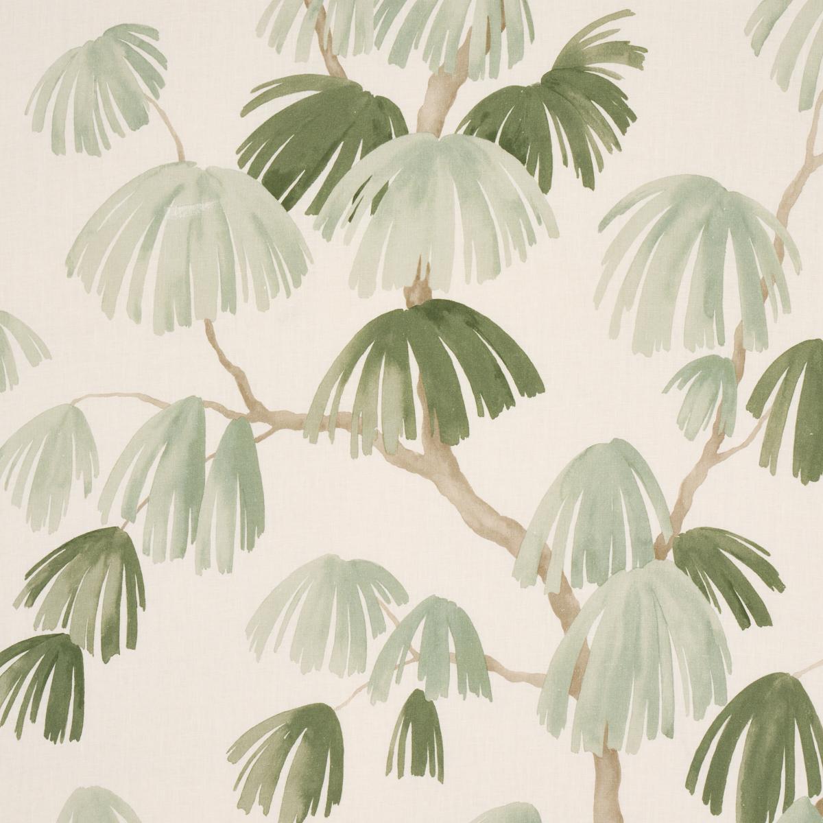 WEEPING PINE SAGE