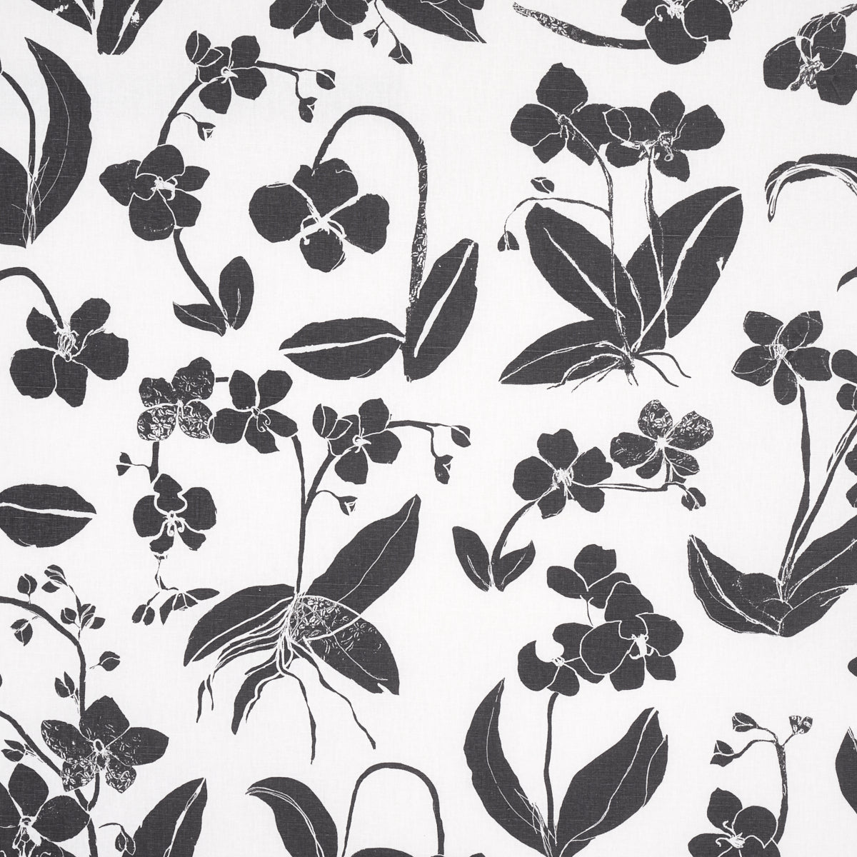 ORCHIDS HAVE DREAMS SOFT BLACK