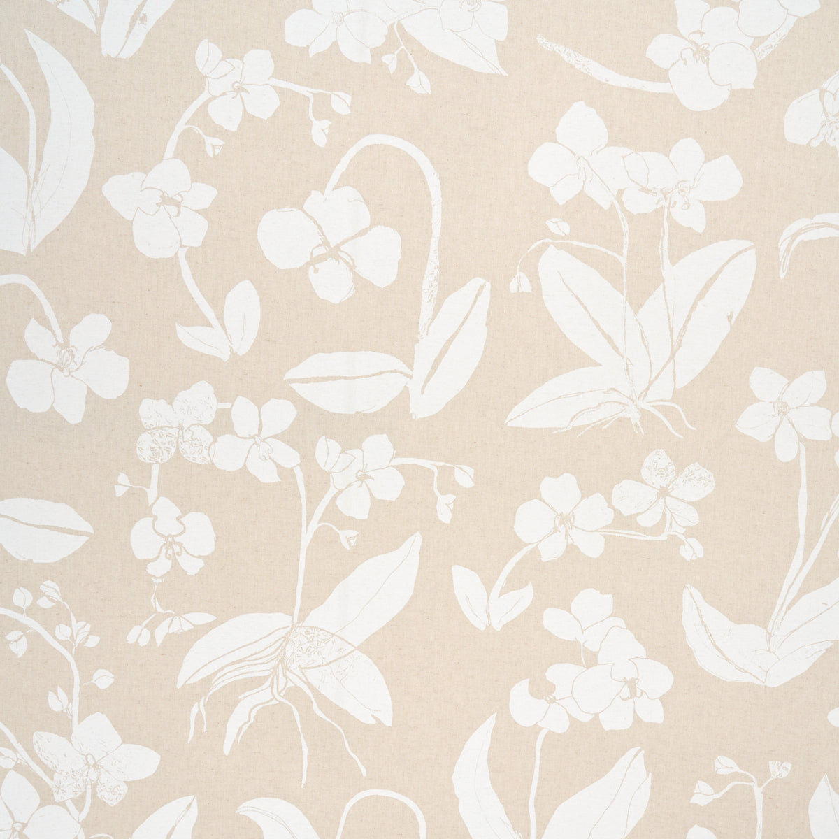 ORCHIDS HAVE DREAMS LIGHT NEUTRAL