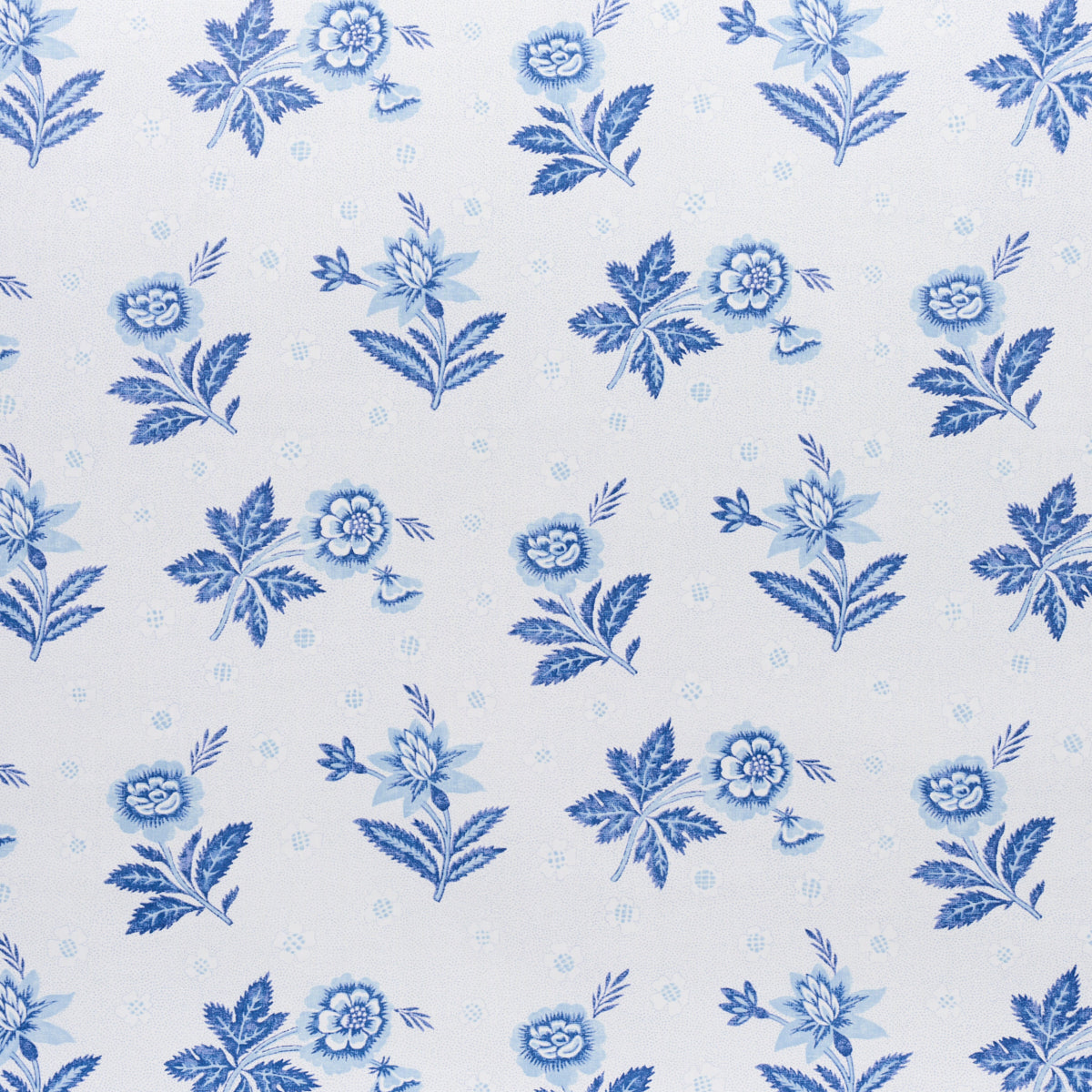 Colline Porcelain