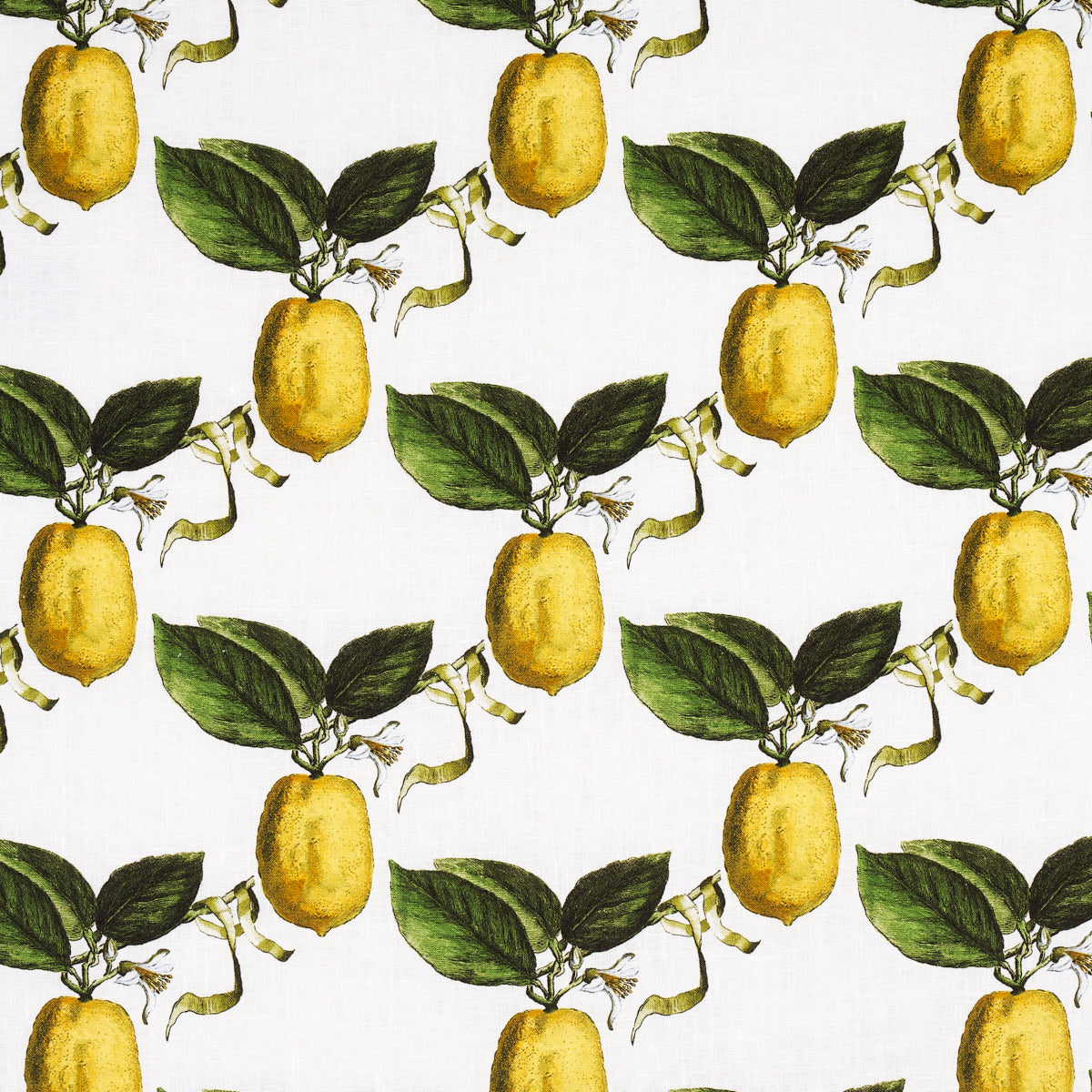 LE CITRON IVORY