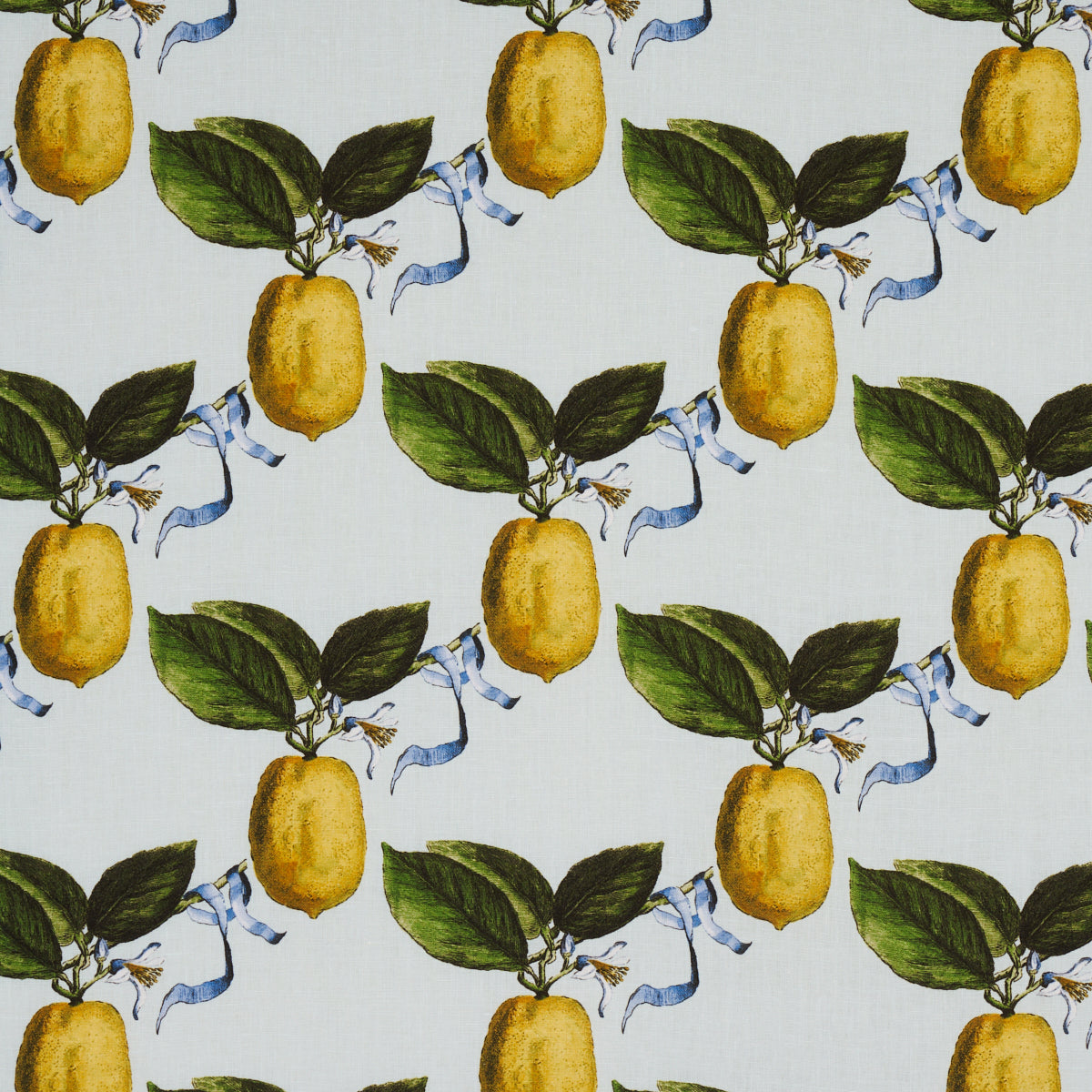LE CITRON SKY