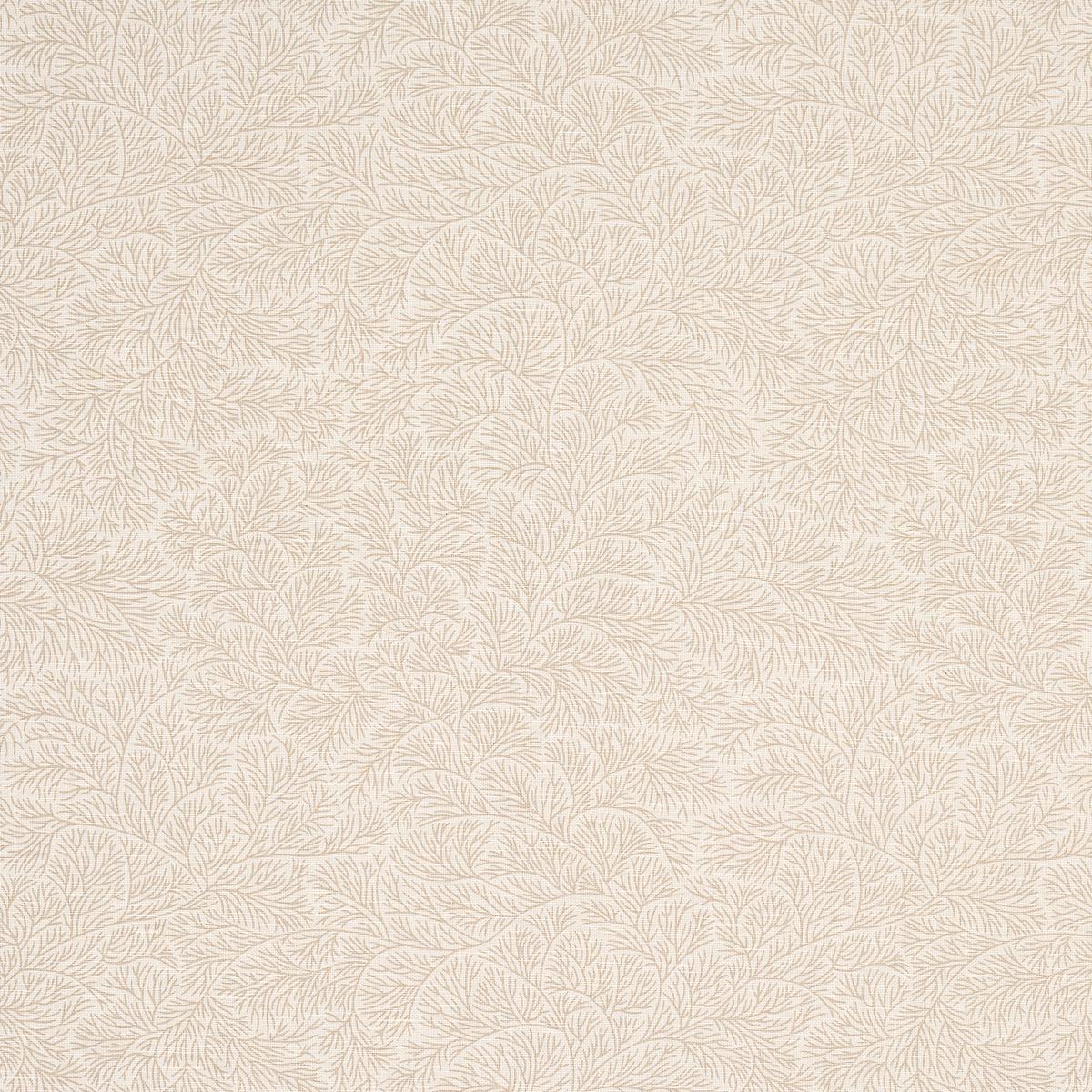 BOUGAINVILLEA NEUTRAL