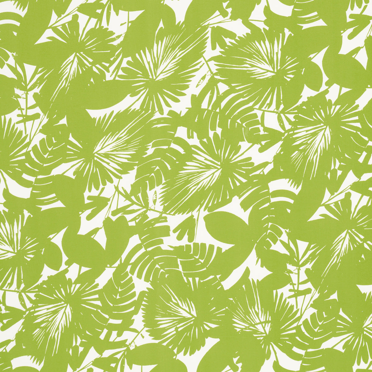 PALISADES PALM INDOOR/OUTDOOR FERN