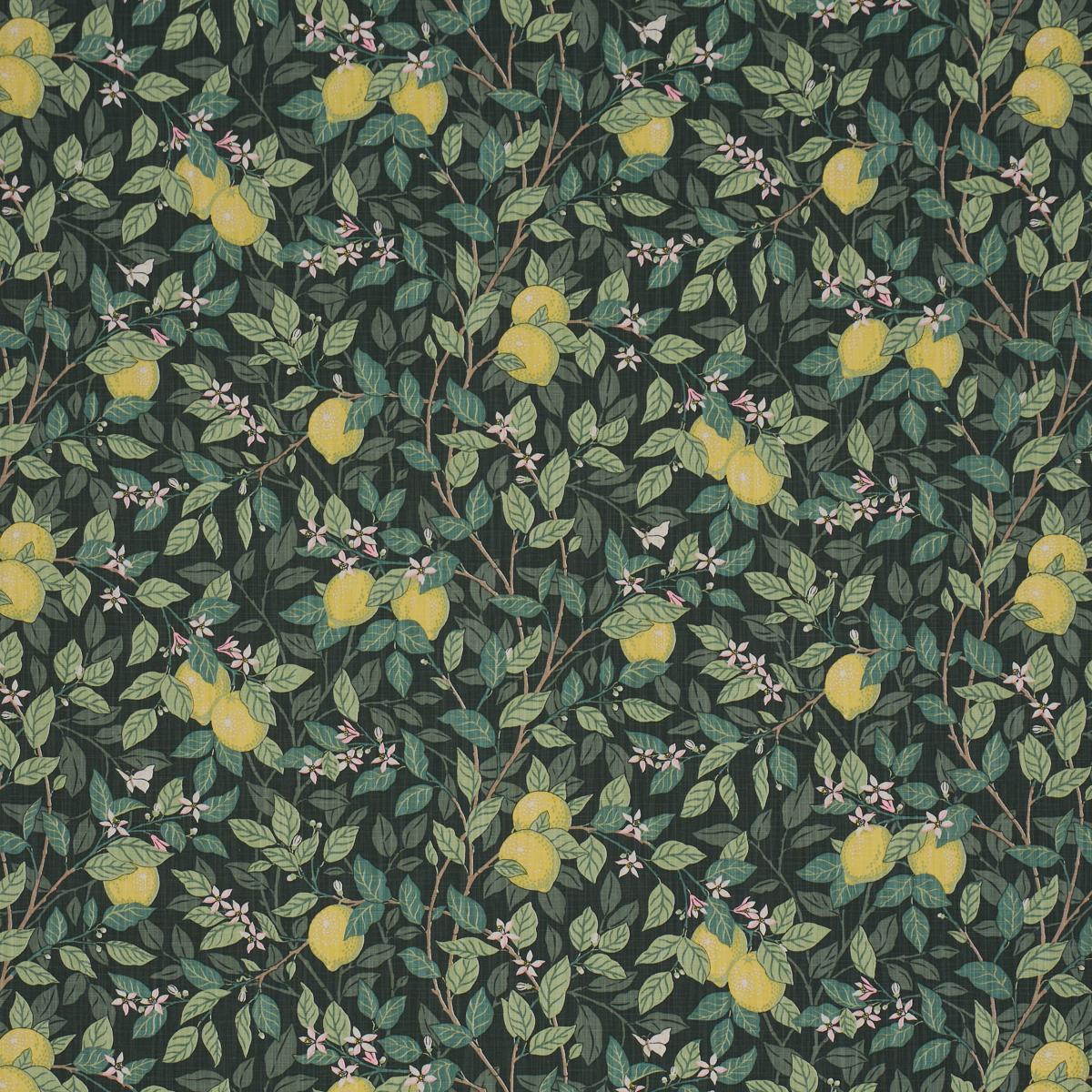 CITRONTRÌãD GREEN