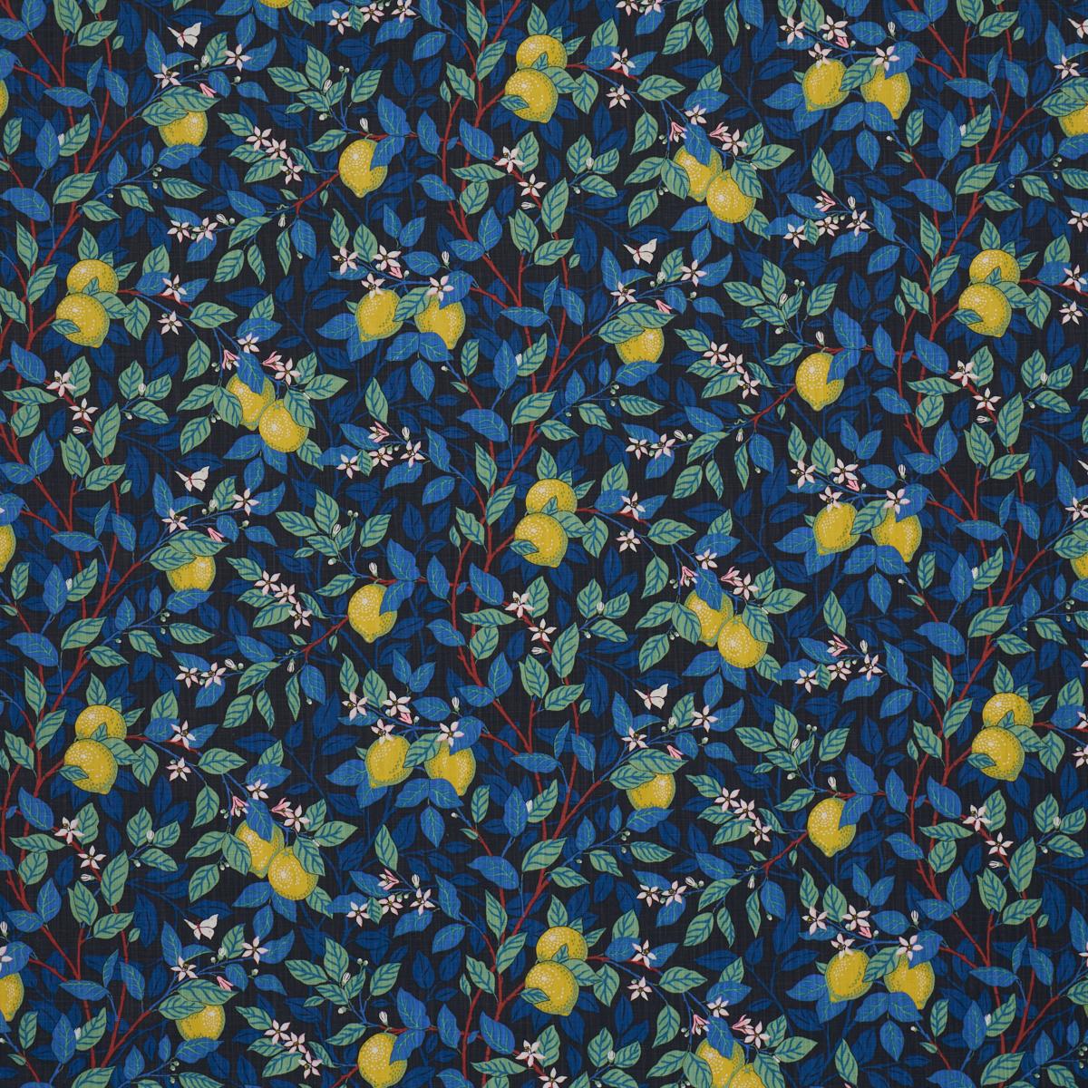 CITRONTRÌãD SPRUCE AND BLUE