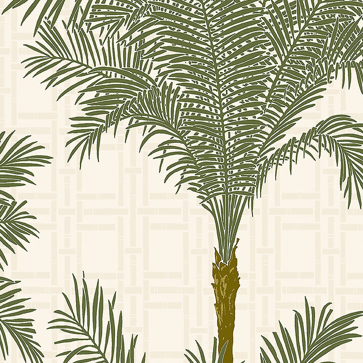 COPACABANA PALM