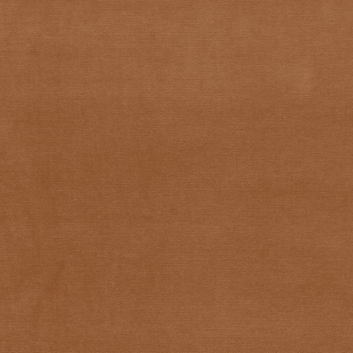 GAINSBOROUGH VELVET CAMEL