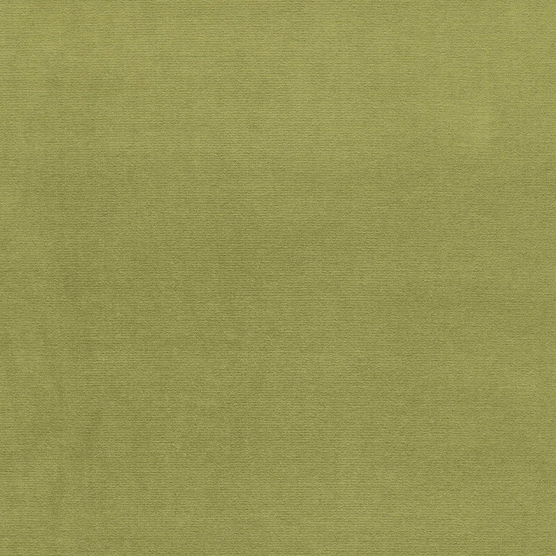 GAINSBOROUGH VELVET PALM