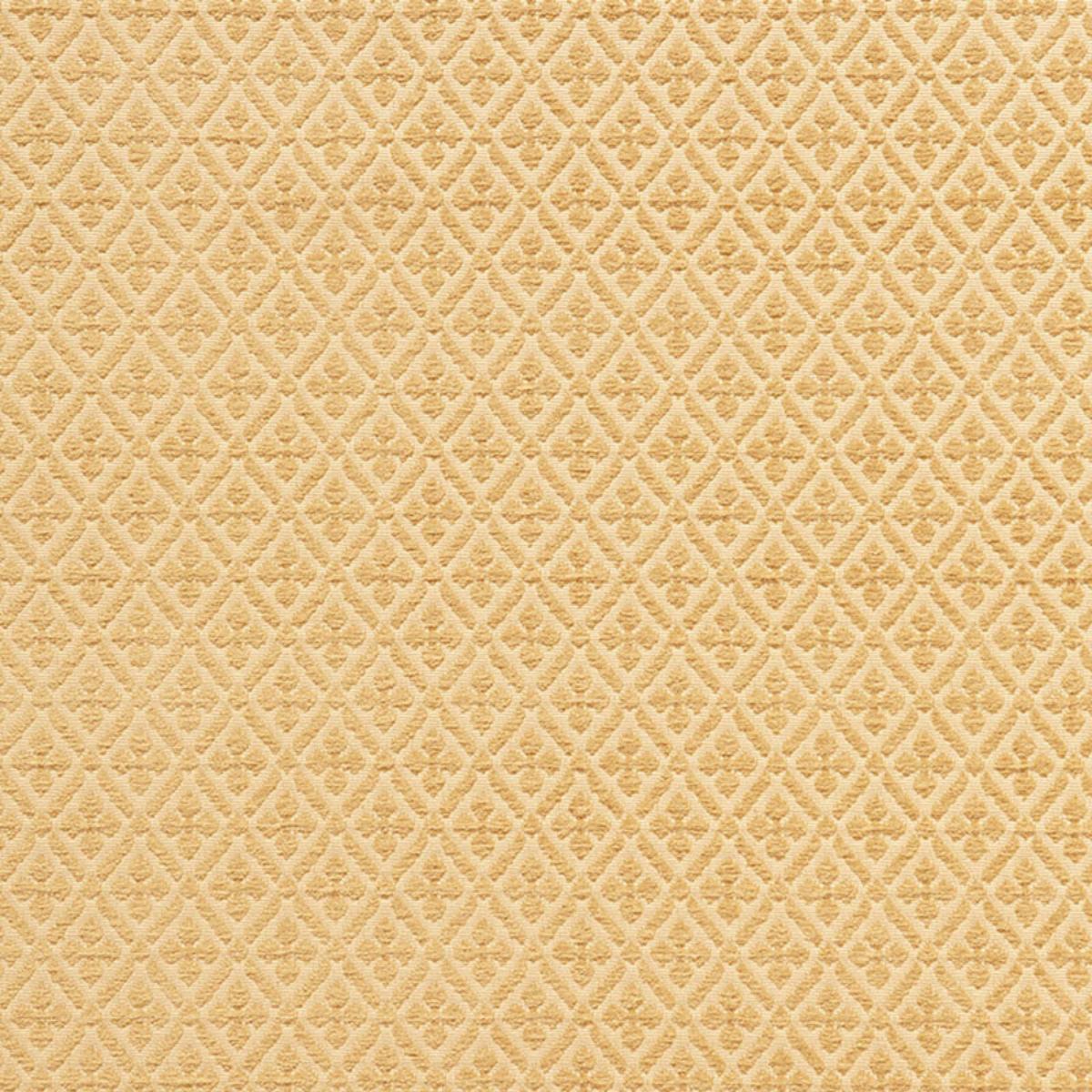 WHITTINGTON CHENILLE STRAW