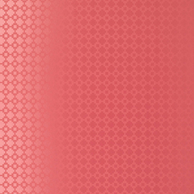 SHAKE IT UP RASPBERRY GLOSS