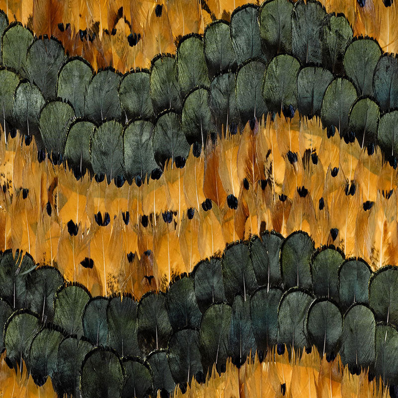 GOLDEN HILL CITRINE
