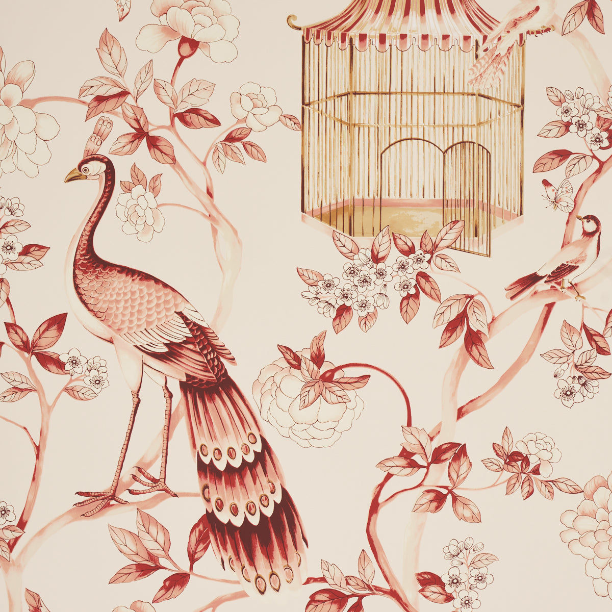 Oiseaux Et Fleurs Cinnabar