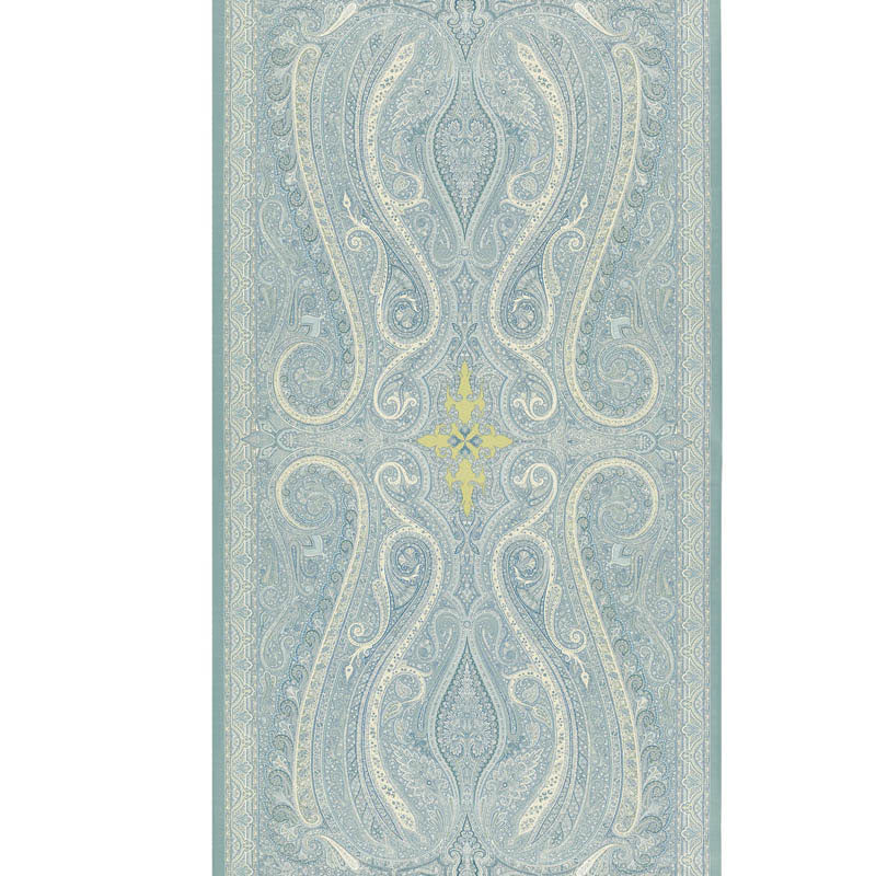 PASHA PAISLEY SKY