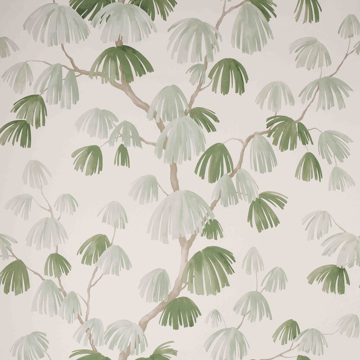 WEEPING PINE SAGE
