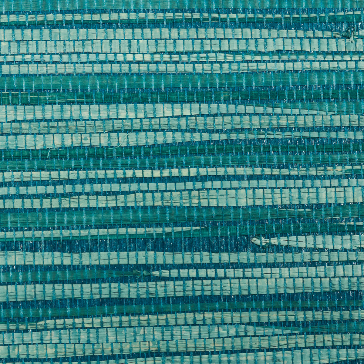 DYED RAFFIA PEACOCK